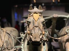 -陕西历史博物馆