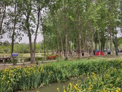 -东郊湿地公园