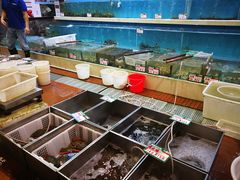 -御唐府海珊瑚主题餐厅