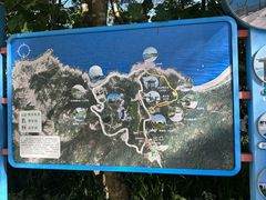-广东惠东海龟国家级自然保护区