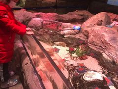 -沈阳海洋探索中心