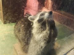 -聊城海底世界