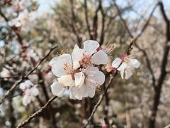 -北京奥林匹克公园
