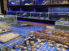 -粤珍轩.创始店.始于2001(含光门店)