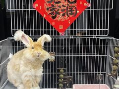 -立德动物医院·异宠·CT·鹦鹉(天河店)