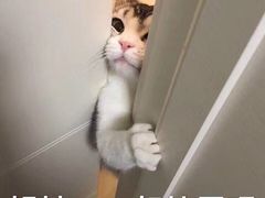 -伊斯坦布尔土耳其清真咖啡餐厅