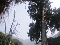 -灵光寺