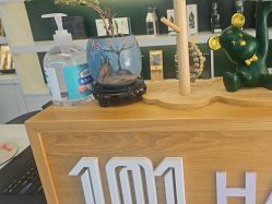 -章光101防脱养发荟