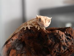 -三旗百汇商品城