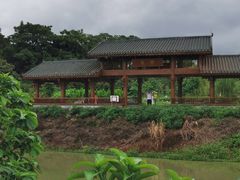 -广西壮族自治区药用植物园