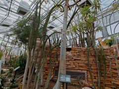 -北京植物园-展览温室