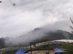 -径山花海
