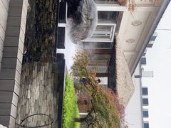 -龙吟九品(青龙山庄店)