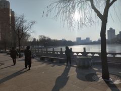 -迎泽公园