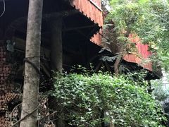 -呀路古热带植物园