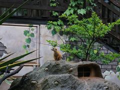 -灵玲国际马戏城