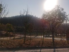 -黄陂区野村谷景区