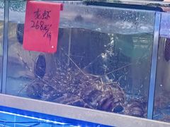 -金海湾海鲜排档(朱家尖店)