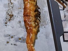 -云晓光头烧烤吧(盛夏店)