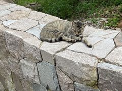 -崂山九水游览区