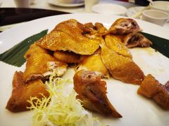 豉油鸡-京华世纪酒店·潮苑大酒楼(益华百货店)
