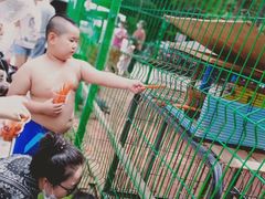 -大鹅岛绿色生态美食园