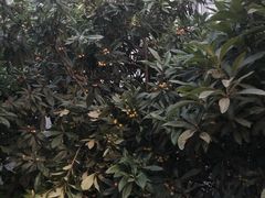 -江南大学-4食堂