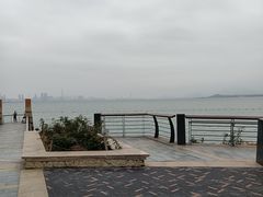 -深圳湾公园-停车场