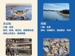 -巧克力渔家.小船海鲜胶东菜(万平口店)