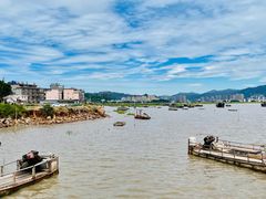 -北岐滩涂