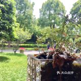 找个地方喝茶，要有人在画中游的感觉，马上就想到了迎宾