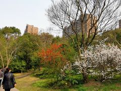 -新江湾城公园