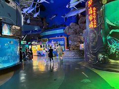 -烟台海昌鲸鲨海洋公园