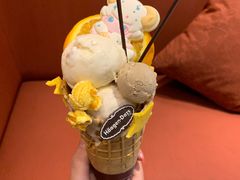 -哈根达斯(龙湖时代天街店)