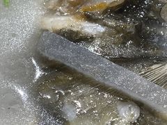 -老员外私厨小灶(南宁店)