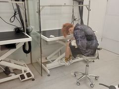 -comecome来吧宠物(奥克斯中心店)