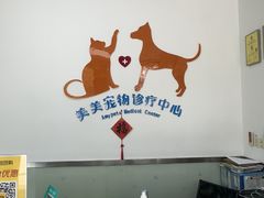 -美美宠物诊疗中心·异宠·骨科(滨江东信分院)