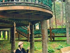 -洛阳白云山景区