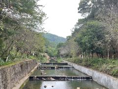 -广州白江湖森林公园