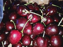 -菜园坝水果市场