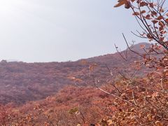 -周口店坡峰岭风景区