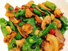 -素虎小呆鸟(西二旗店)