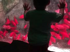 -泉城欧乐堡海洋极地世界