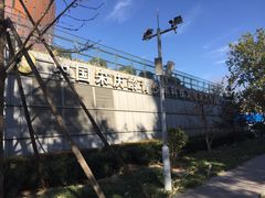 -中国宋庆龄青少年科技文化交流中心