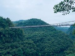 -川西竹海景区