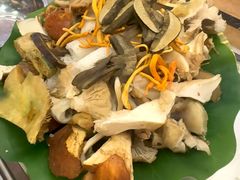 -野菌园·野生菌火锅首创第一家(关兴路总店)