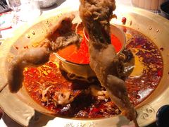 -哥老官重庆美蛙鱼头(宝山龙湖店)