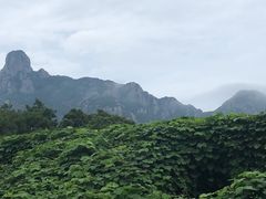 -花岙岛
