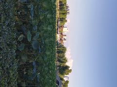 -长春市南湖公园