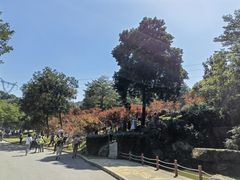 -广州市帽峰山景区